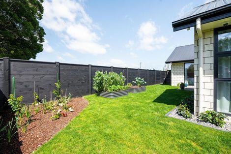 Photo of property in 3b Te Rerenga Terrace, Cambridge, 3434