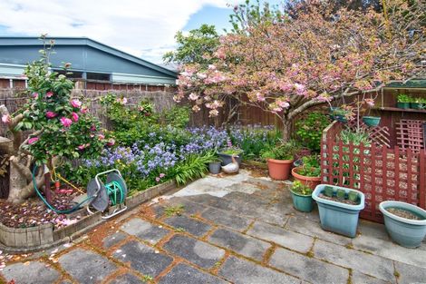 Photo of property in 6 Rewa Place, Lansdowne, Masterton, 5810