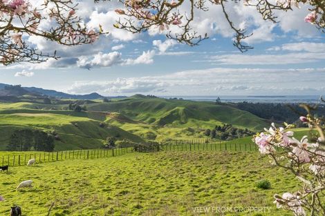 Photo of property in 1102 No 2 Road, Te Ranga, Te Puke, 3182