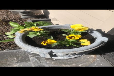 Photo of property in 216 Riccarton Road, Riccarton, Christchurch, 8041