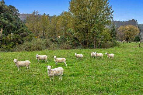 Photo of property in 258 State Highway 2 East, Waimana, 3198