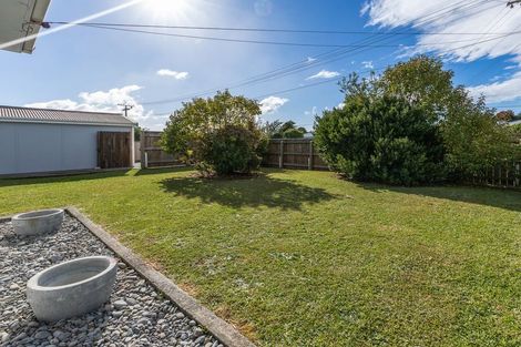 Photo of property in 8 Middlesex Street, Levin, 5510