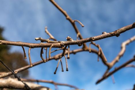 Photo of property in 91 Rea Road, Tahawai, Katikati, 3178