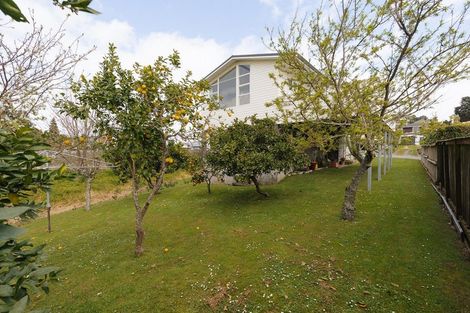 Photo of property in 37 Seaway Terrace, Otumoetai, Tauranga, 3110