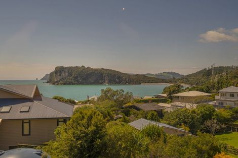 Photo of property in 12 Panorama Avenue, Ferry Landing, Whitianga, 3591