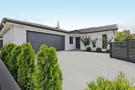 Photo of property in 34b Margaret Avenue, Havelock North, 4130