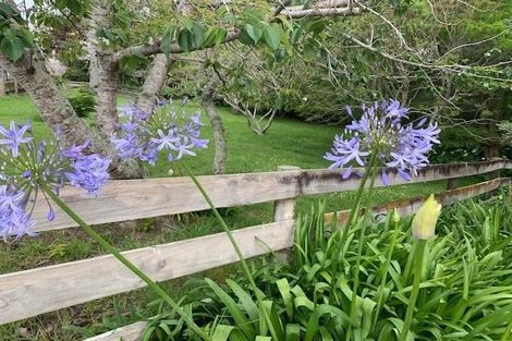 Photo of property in 159 Whangaparaoa Road, Red Beach, 0932