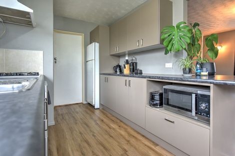 Photo of property in 113 Kitchener Street, Gore, 9710