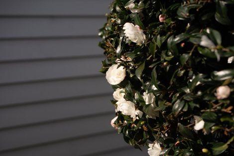 Photo of property in 16b Bradley Place, Nawton, Hamilton, 3200