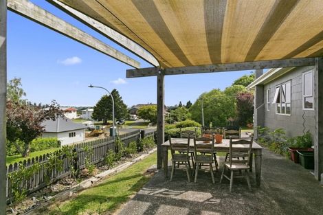 Photo of property in 20 Terrace Street, Putaruru, 3411