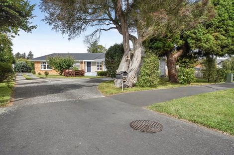 Photo of property in 1 Patricia Avenue, Hamilton East, Hamilton, 3216