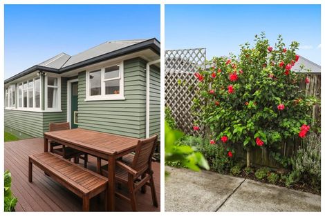 Photo of property in 75c Pooles Road, Greerton, Tauranga, 3112
