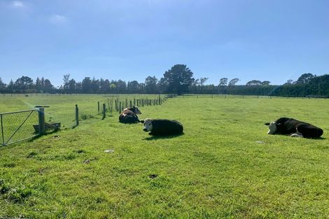 Photo of property in 125 Walkers Road, Rolleston, Christchurch, 7677