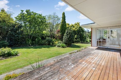 Photo of property in 62 Tuapiro Road, Tahawai, Katikati, 3170
