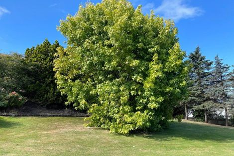 Photo of property in 84 Eden Street, Oamaru, 9400
