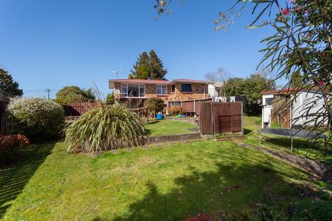 Photo of property in 16 Clothier Street, Putaruru, 3411