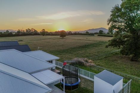 Photo of property in 58 Peakedale Drive, Matamata, 3400
