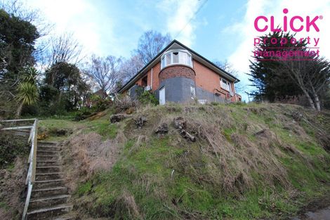 Photo of property in 125 Maclaggan Street, Dunedin Central, Dunedin, 9016