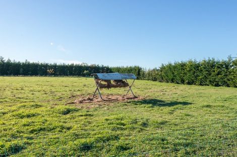 Photo of property in 378 Ashburton Staveley Road, Greenstreet, Ashburton, 7771