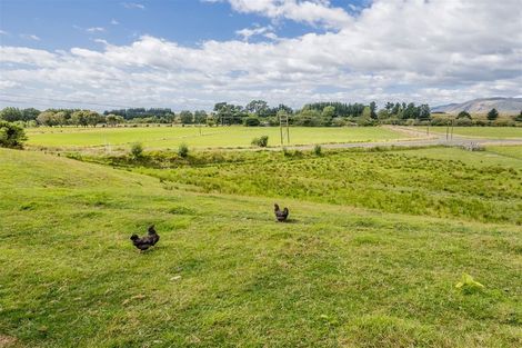 Photo of property in 15b Bovis Street, Shannon, 4821