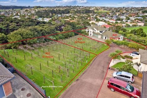 Photo of property in 22 Lorikeet Place, Unsworth Heights, Auckland, 0632