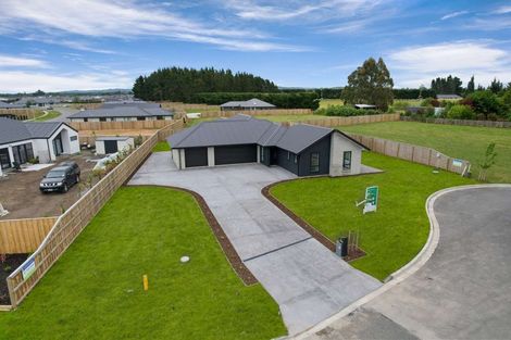 Photo of property in 1 Harrier Place, Amberley, 7410