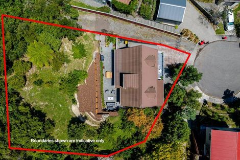 Photo of property in 29 Mamaku Street, Paraparaumu, 5032