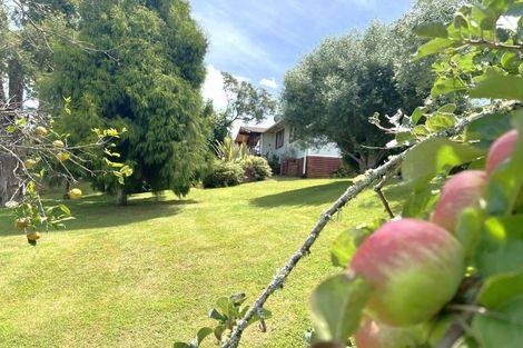 Photo of property in 21 Rimu Street, Te Kuiti, 3910