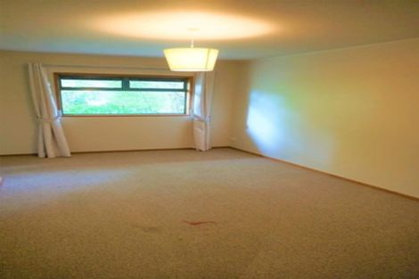 Photo of property in 58 O'brien Road, Coatesville, Albany, 0793