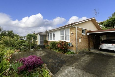 Photo of property in 14 Jonathon Street, Brookfield, Tauranga, 3110
