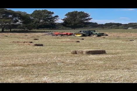 Photo of property in 105 Willis Road, Ngahinapouri, Hamilton, 3290