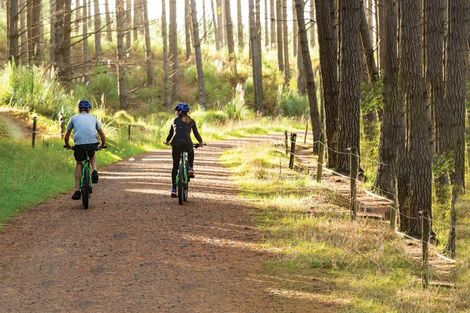 Photo of property in 25 Kapia Road, Westgate, 0614