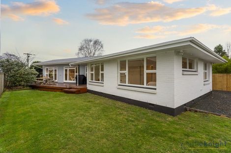Photo of property in 14 Yeovil Place, St Albans, Christchurch, 8052