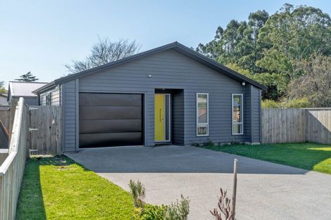 Photo of property in 54a Costley Street, Carterton, 5713
