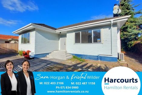 Photo of property in 120 Clarkin Road, Fairfield, Hamilton, 3214