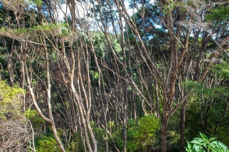 Photo of property in 2035 Colville Road, Colville, Coromandel, 3584