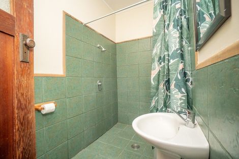 Photo of property in 21 Alfred Street, Roslyn, Palmerston North, 4414