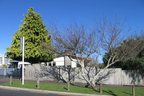 Photo of property in 3 Moore Street, Forest Lake, Hamilton, 3200