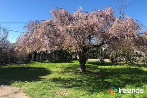 Photo of property in 40 Moreland Avenue, Papanui, Christchurch, 8053