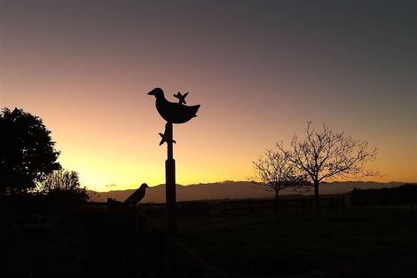 Photo of property in 1440 Martinborough Masterton Road, Gladstone, Masterton, 5884