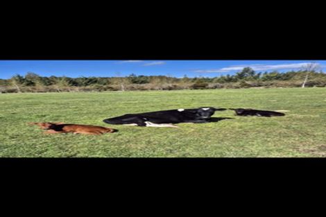 Photo of property in 1209 Blair Road, Moana, Dobson, 7872