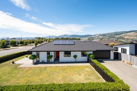 Photo of property in 1 Woodley Road, Richmond, 7020