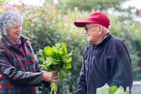 Photo of property in 62 Russell Road, Huntly, 3700