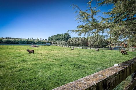 Photo of property in 45 Whitewood Crescent, West Melton, Christchurch, 7675