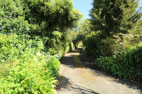Photo of property in 8a Croydon Street, North East Valley, Dunedin, 9010