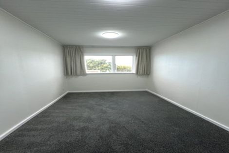 Photo of property in 17 Bidwill Street, Mount Cook, Wellington, 6021