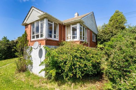 Photo of property in 18 Panmure Avenue, Calton Hill, Dunedin, 9012