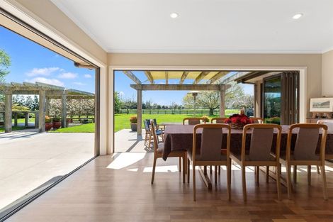 Photo of property in 699 Puketaha Road, Puketaha, Hamilton, 3281