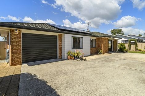 Photo of property in 256 Waihi Road, Judea, Tauranga, 3110