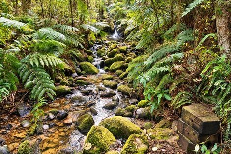 Photo of property in 878 Blueskin Road, Mount Cargill, Waitati, 9085